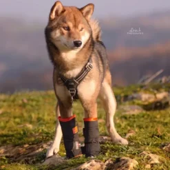 Allpha THERMO+ Guêtres Chiens & Chats