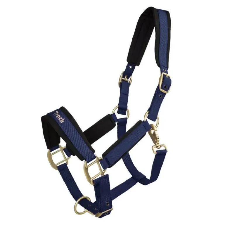 Back On Track Licol Werano Bleu