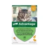 Bayer Advantage Pipette Anti Puce Chat
