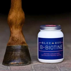 Bleu-Roy B-Biotine