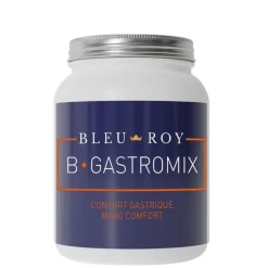Bleu-Roy B-Gastromix