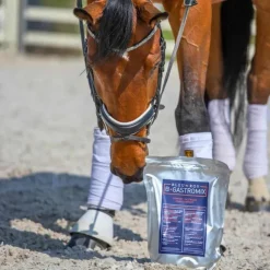 Bleu-Roy B-Gastromix