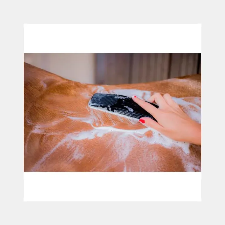 Brosse Gentle Groomer BETTY'S BEST