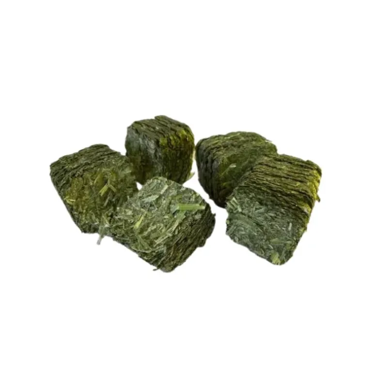 CGP Horse Feed Wafer Forte Performance