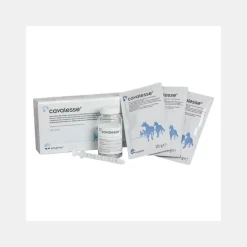 Cheval Ecuphar Cavalesse