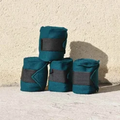 Cheval Energy Bande de Repos (set de 4) - Bleu