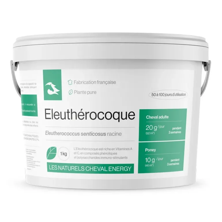Cheval Energy Eleuthérocoque
