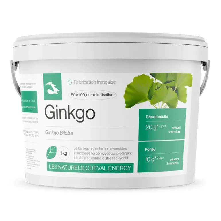 Cheval Energy Ginkgo Feuilles