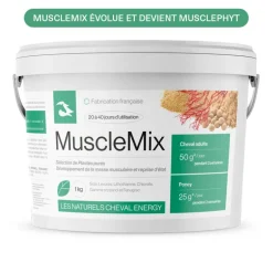 Cheval Energy MusclePhyt