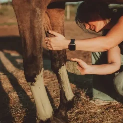 Cura Naturale Argile Soutien Tendineux