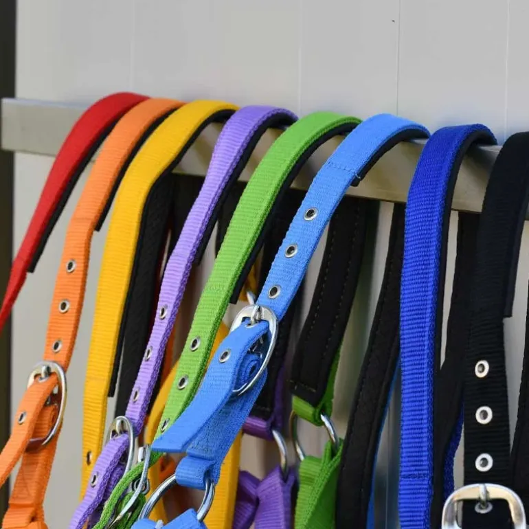 Gamme du Maréchal Licol Nylon Triple Épaisseur - Vert