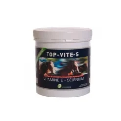 Greenpex Top Vite S Muscle Cheval