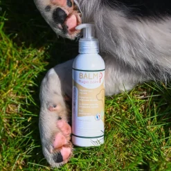 Happy Scoop - Balm Chien