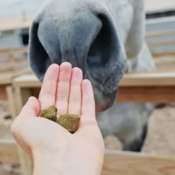 Hilton Herbs Herballs n°2 Curcuma & Gingembre Friandises Cheval