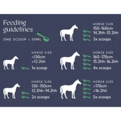 Hilton Herbs Lin & Fenugrec Reprise Etat Cheval