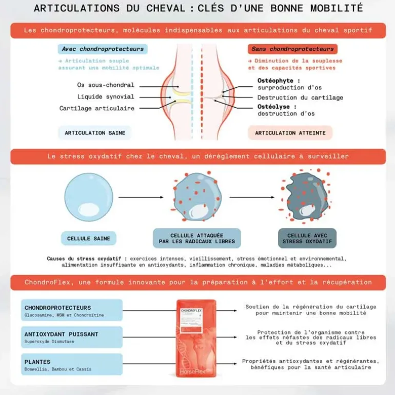 HorseFlex Care ChondroFlex