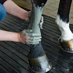 Kevin Bacon's Argile Marine de Manicouagan