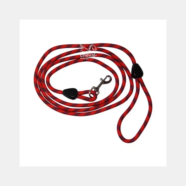 Laisse avec Poignée