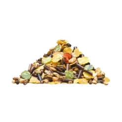 Lambey Old Master Floconné Cheval Agé