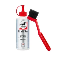 Leovet Strahl San Fourchette Pourrie