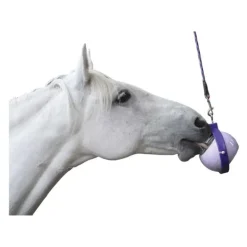 Likit Boredom Buster Support Little Likit