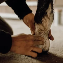 Nellumbo Baume Protecteur & Hydratant