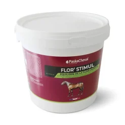 Paskacheval Flor'Stimul Flore Intestinale Cheval