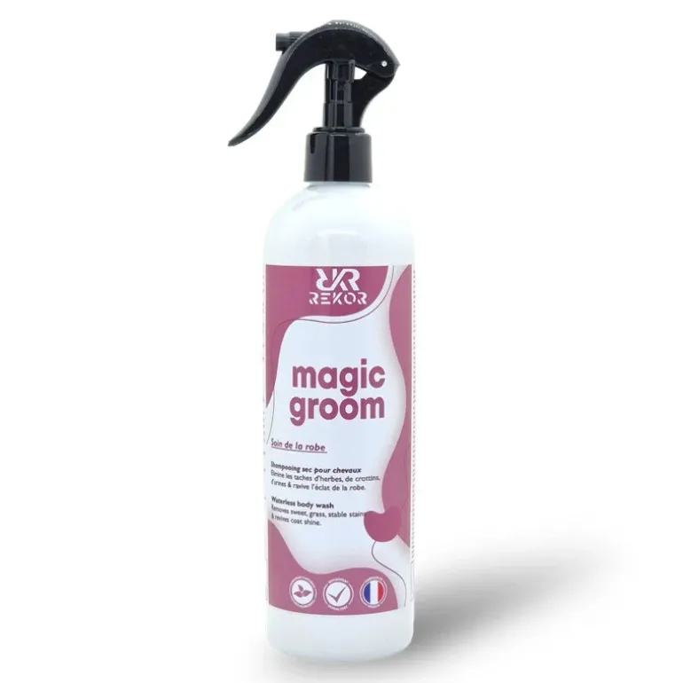 Rekor Magic Groom