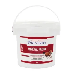 Reverdy Mineral Racing